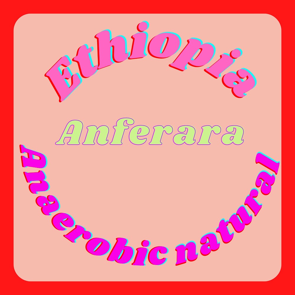 Ickle Coffee | Ethiopia Anferara Anaerobic Natural | Single Origin | Sydney Coffee