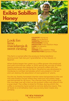 
                  
                    Load image into Gallery viewer, Honduras Exibia Sabillon Honey
                  
                
